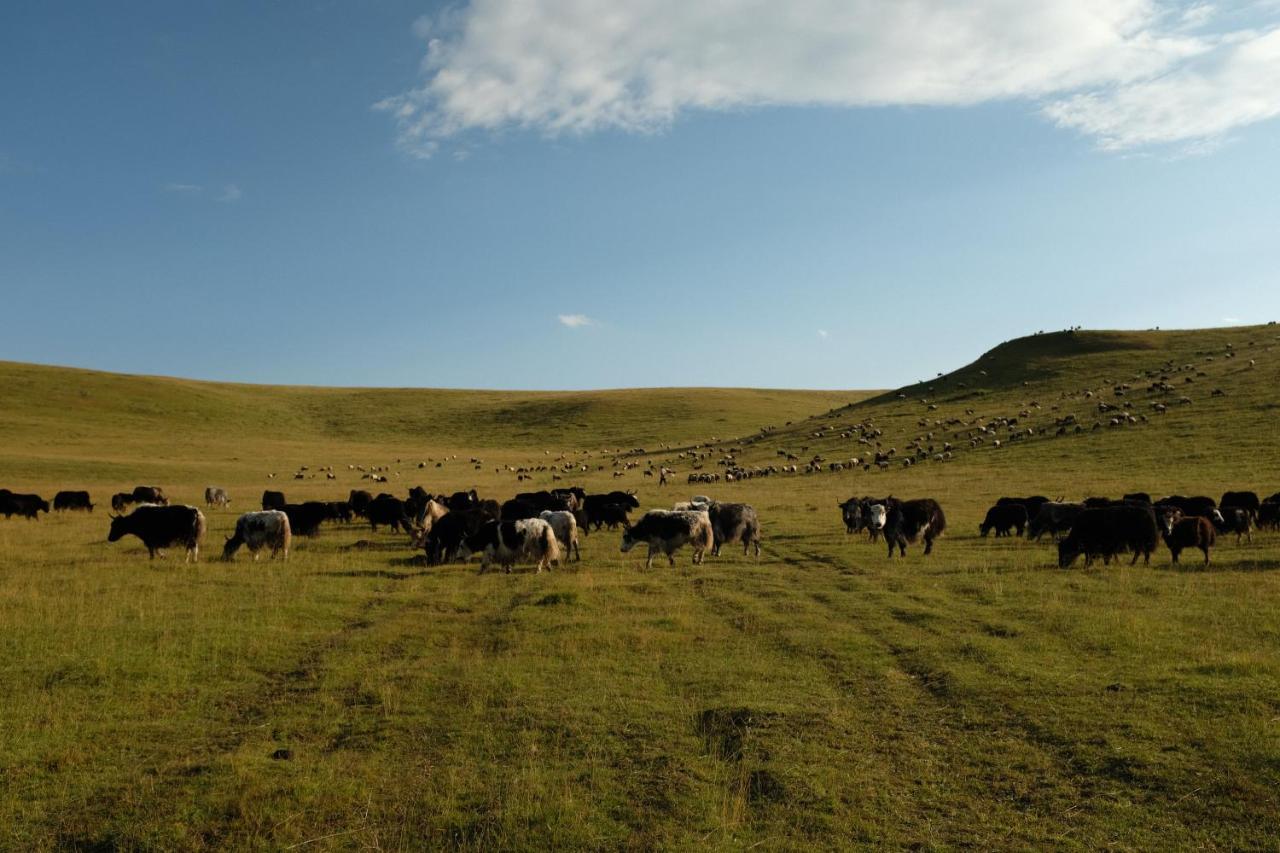 Norden Camp Xiahe Hotel Екстериор снимка