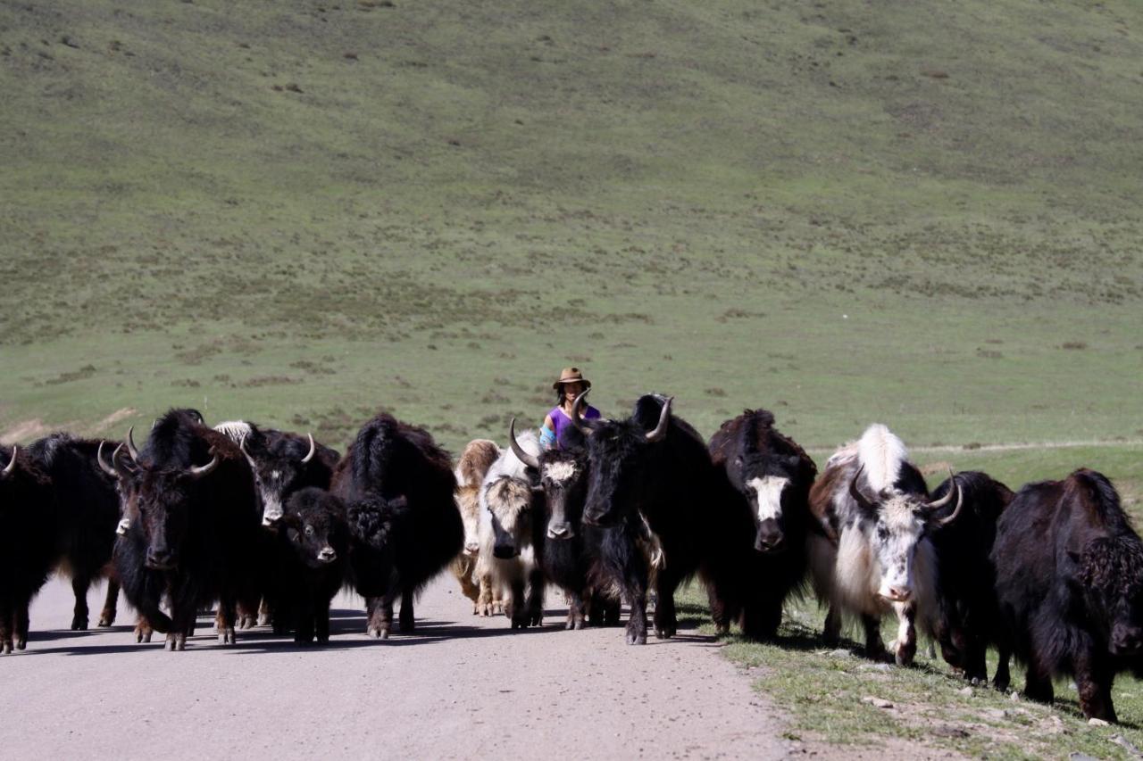 Norden Camp Xiahe Hotel Екстериор снимка